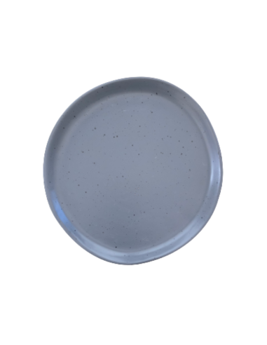 Assiette moucheté gris ciment Réf:006-D1