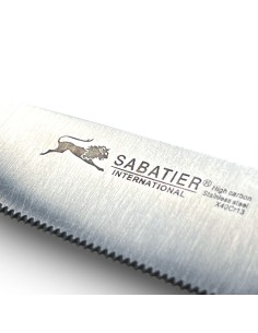 Couteau à steak SABATIER en inox 24 cm REF : 20503 2