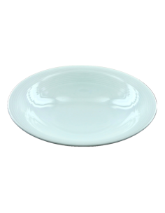 Assiette creuse 22cm REF : T50/85 2