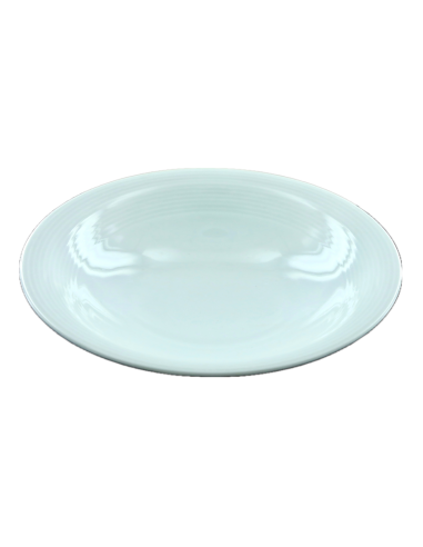 Assiette creuse 22cm REF : T50/85
