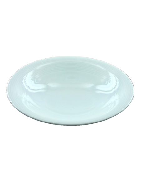 Assiette creuse 22cm REF : T50/85