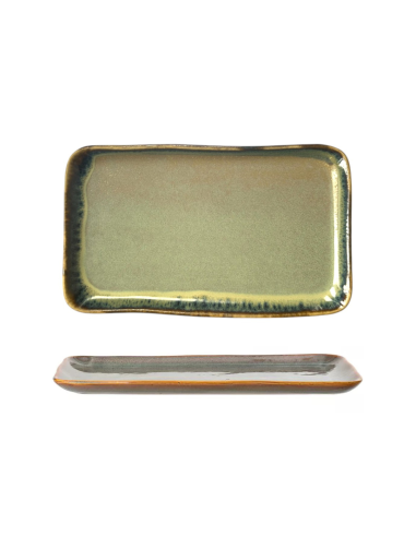 Assiette plate réactive 24 cm REF : Q84RMX