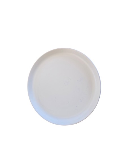 Assiette dessert 20cm REF : 87730