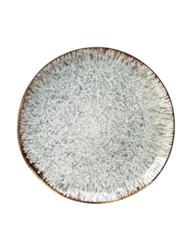 Assiette ronde plate réactif 26cm REF : p01244