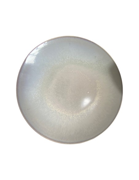 Assiette plate réactive 28 cm REF: P00803