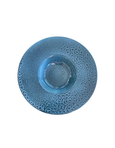 Assiette gastro bleu réactif 27,5cm REF : 73214/1