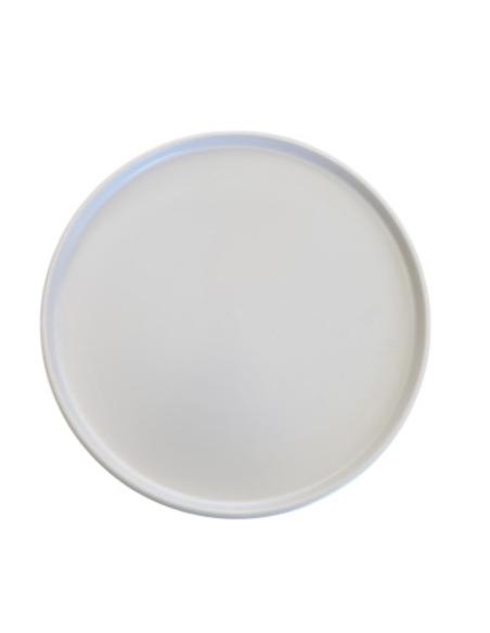 Assiette plate bords haut 28 cm REF : 594PL