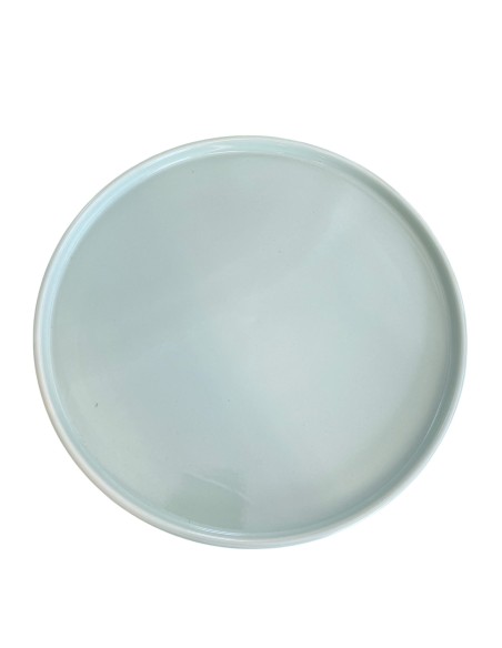 Assiette plate bords haut 28 cm REF : 307PL