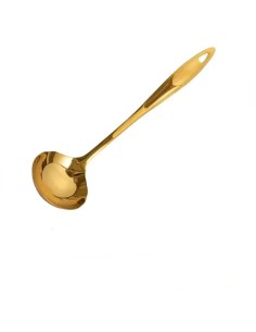 Louche Inox or 31 cm REF : 382