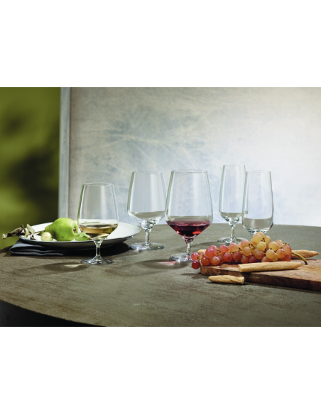 Verre à Vin 47cl Schott Zwiesel REF : 15284