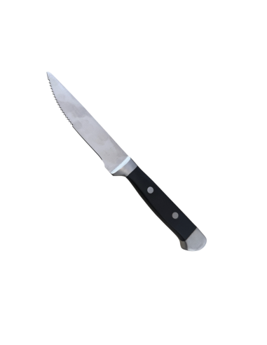 Couteau À Steak 26,5cm REF : TM031