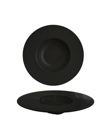 Assiette gastro réactive 27 cm REF :...