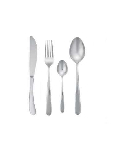 Couverts en inox Référence : WYD1508