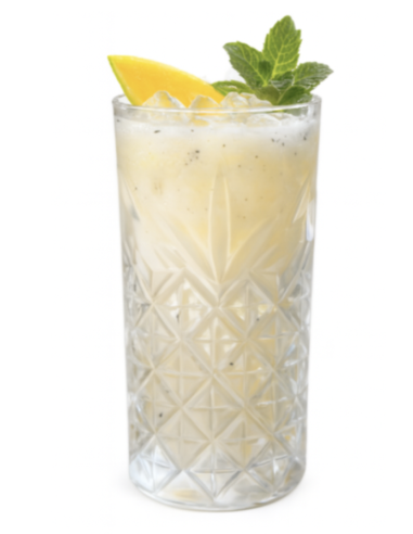 Verre Longdrink Haut Relief 41 cl REF...