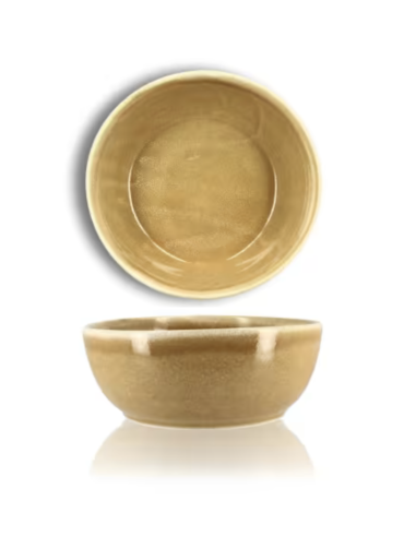 Saladier Ocre Réactif 18x7 cm REF :...