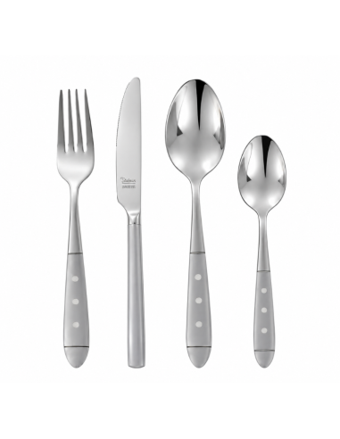 Gamme de quatre couverts en inox avec manche gris à trois rivets sur fond blanc.