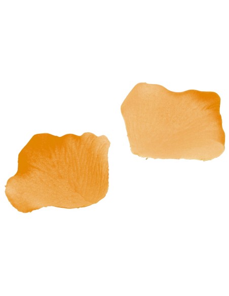 Lot de 40 pétales de roses REF : N27HU8