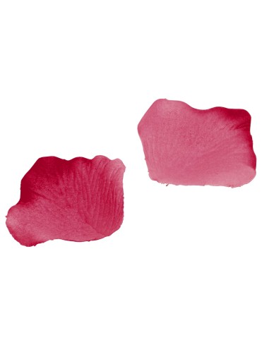 Lot de 40 pétales de roses REF : N27HU8